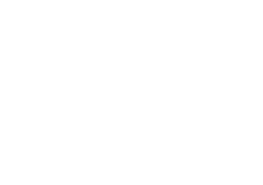 Input Output Co.